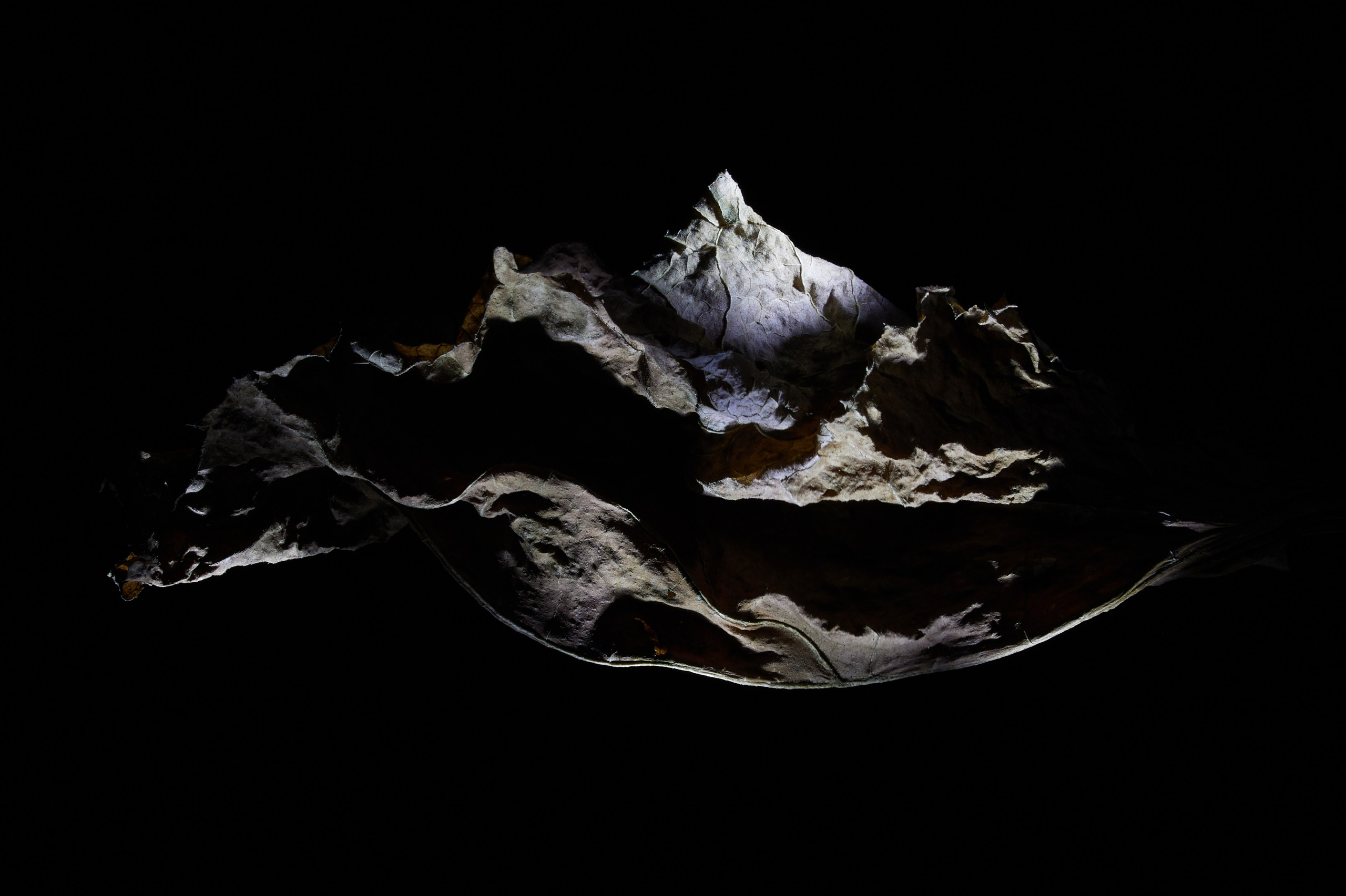 Арт-фотограф во Владивостоке Дмитрий Осипчук