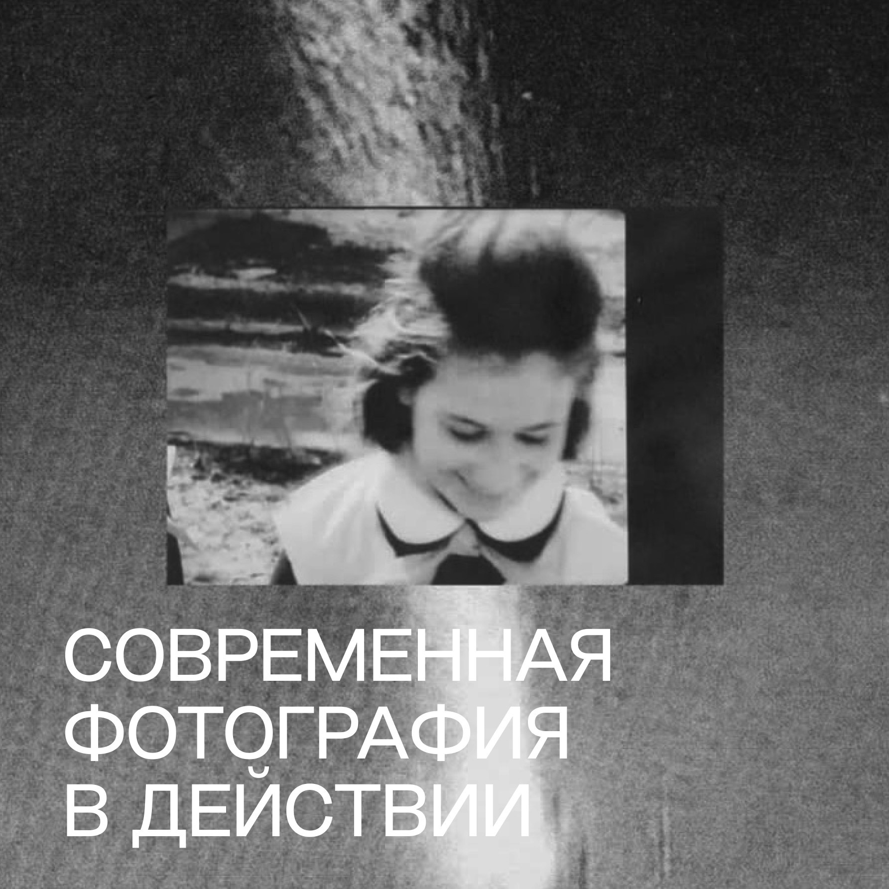 Современная фотография в действии. Самоорганизация Низина