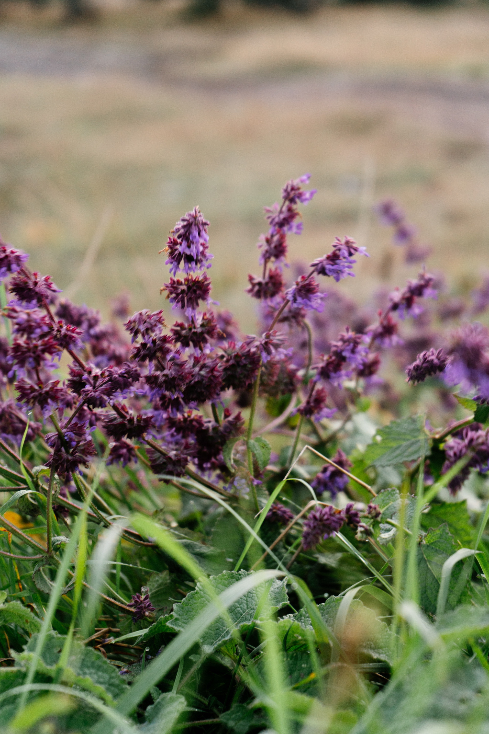 Мои путешествия. Фотограф в Санкт-Петербурге — Лучина Екатерина