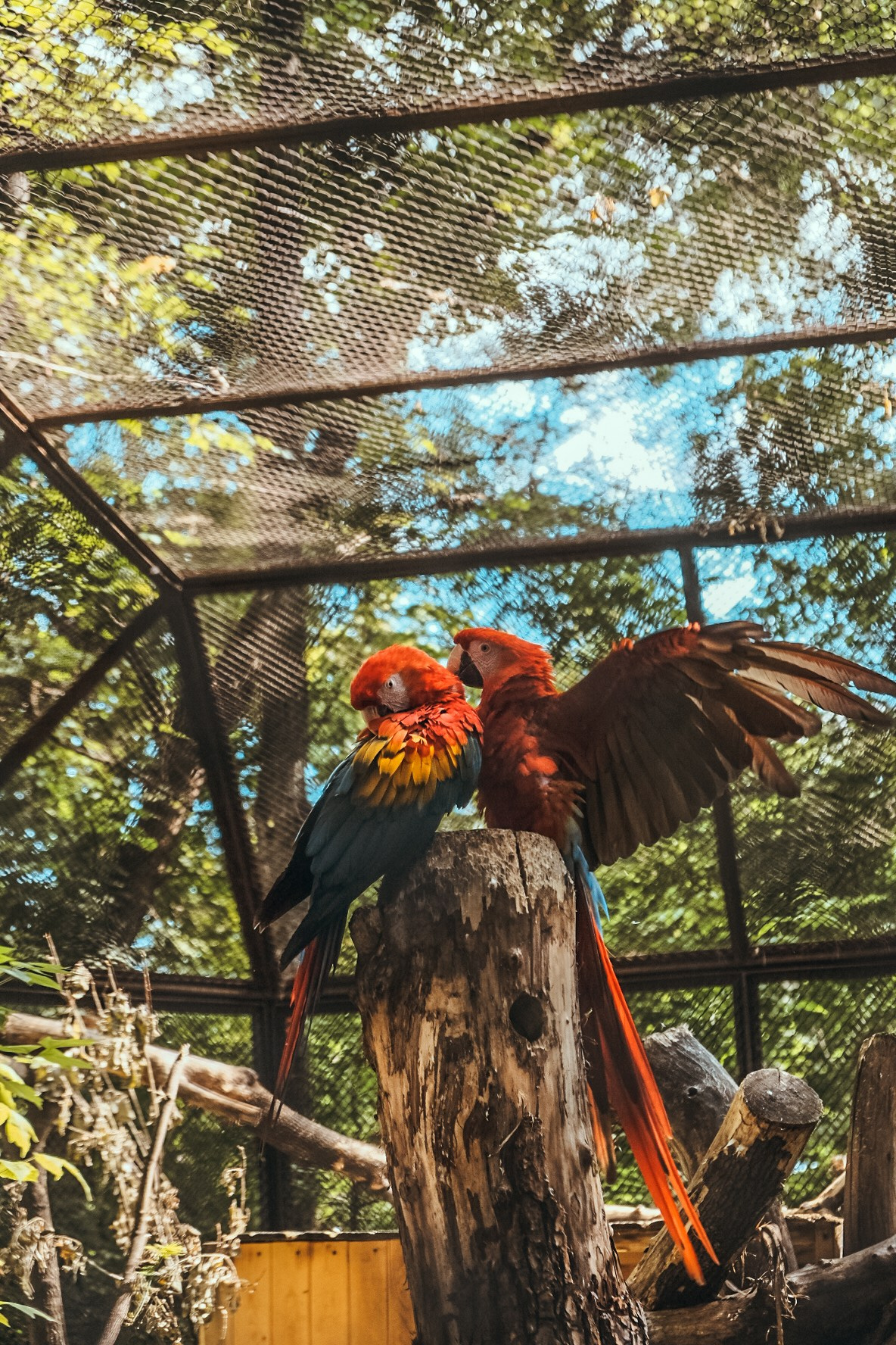 Семейный и свадебный фотограф в Волгограде Валентина Фогель