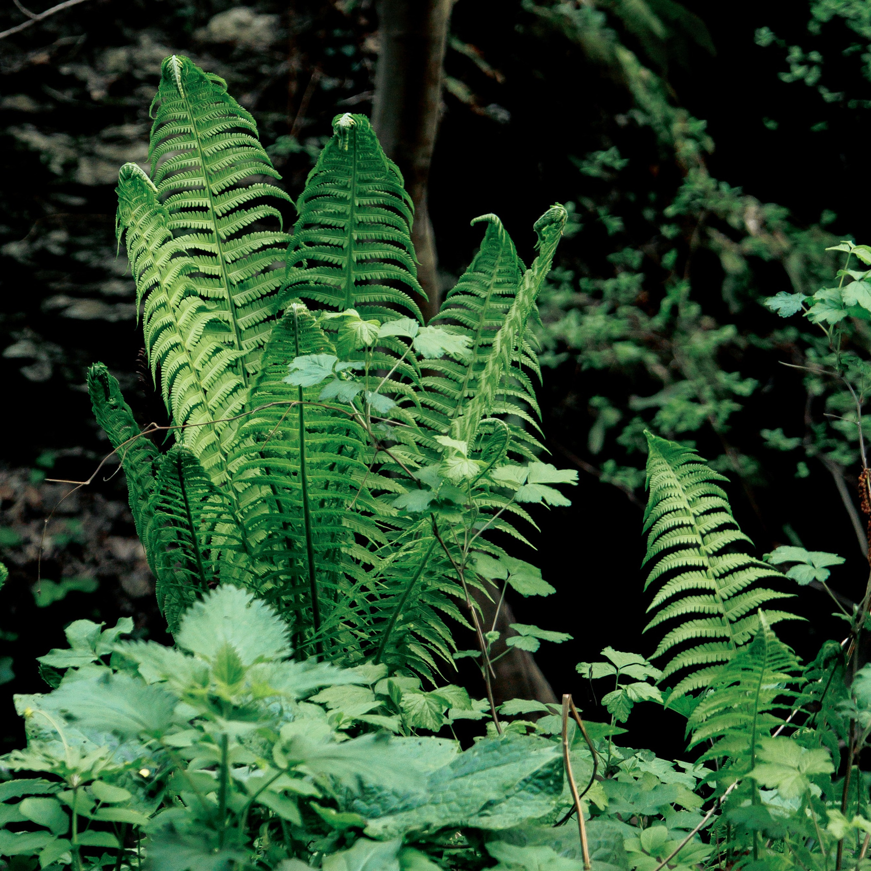 Обо мне. Фотограф katya_vkadre Таганрог