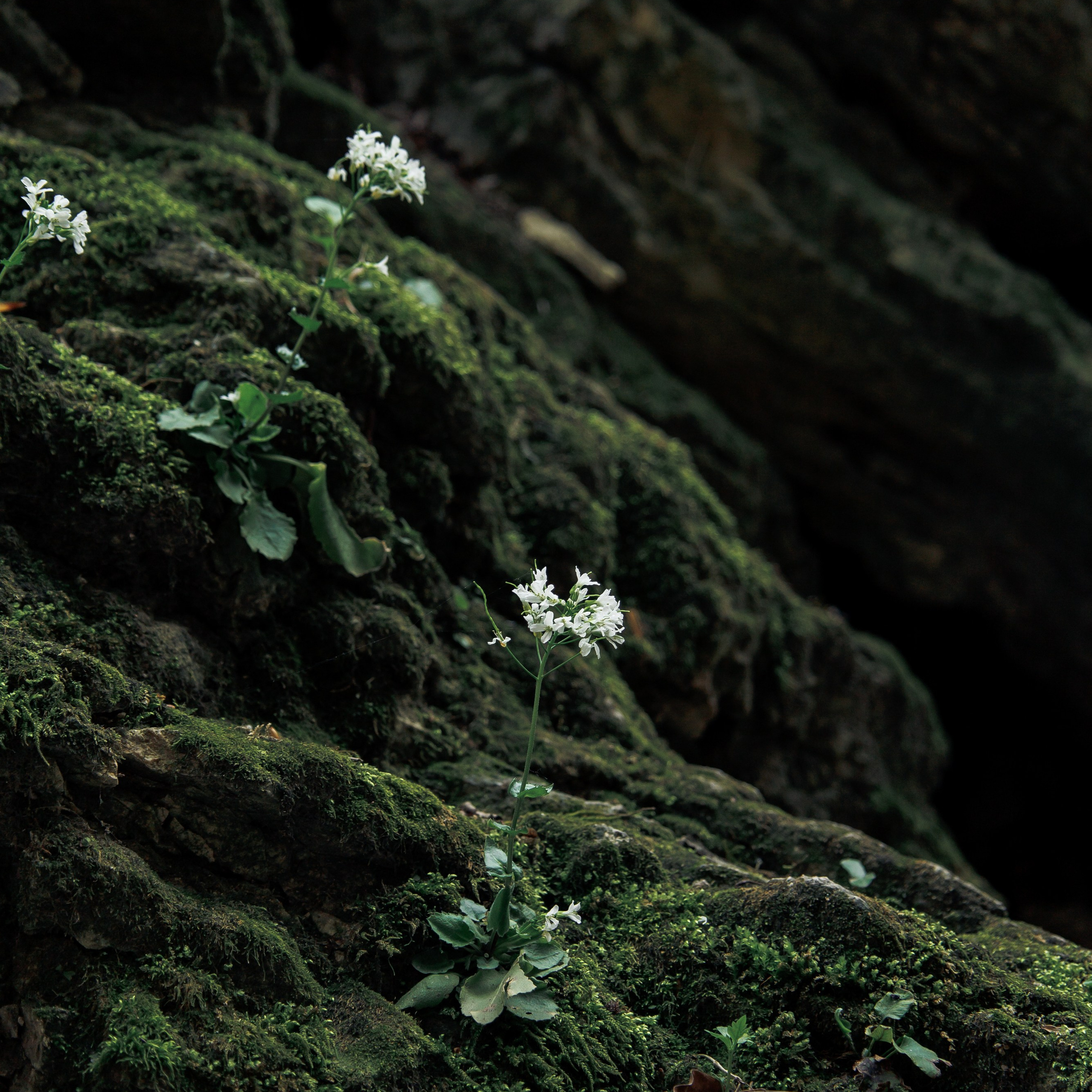 Обо мне. Фотограф katya_vkadre Таганрог