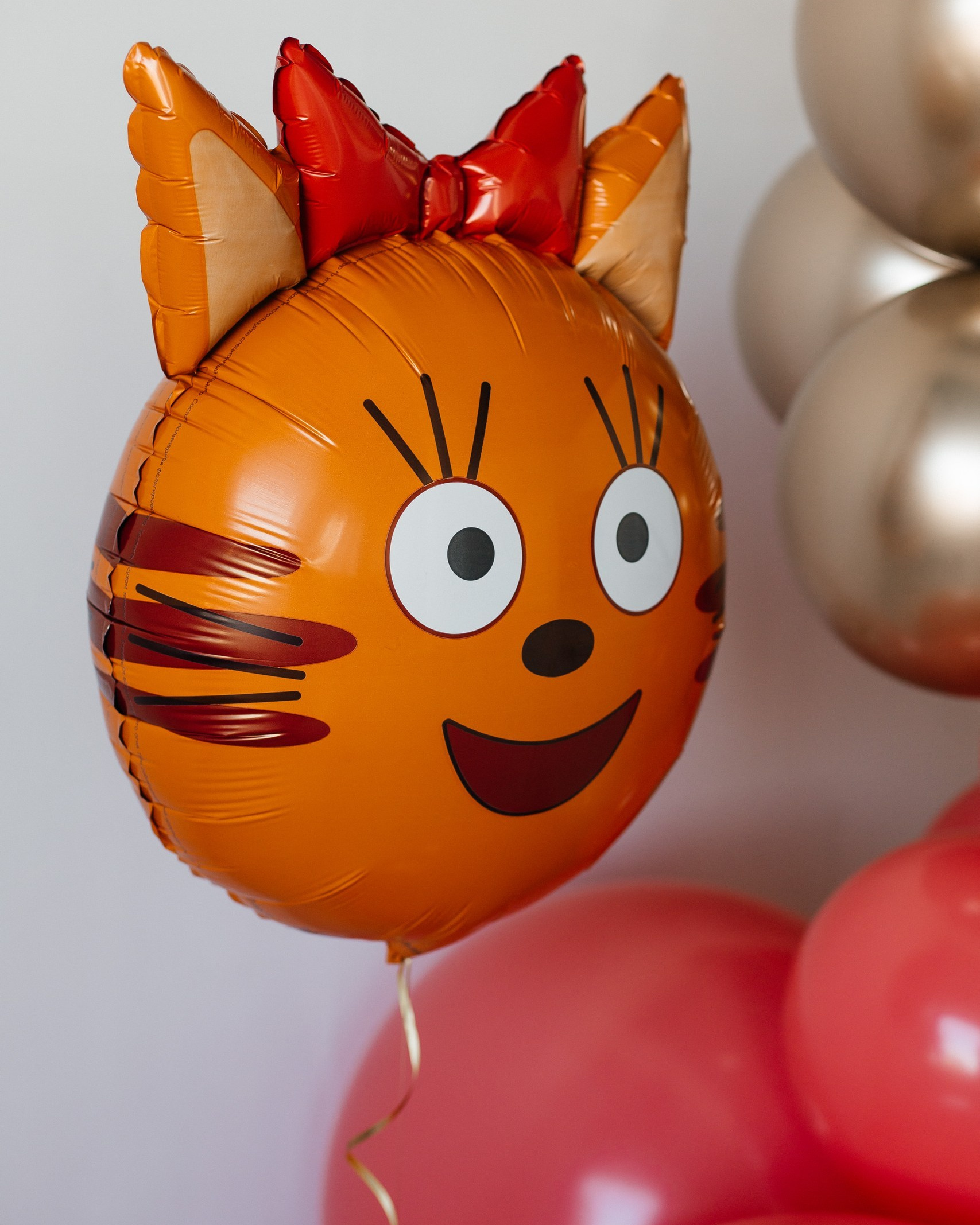 Шары с гелием. Утконос Loft Пространство для вашего события