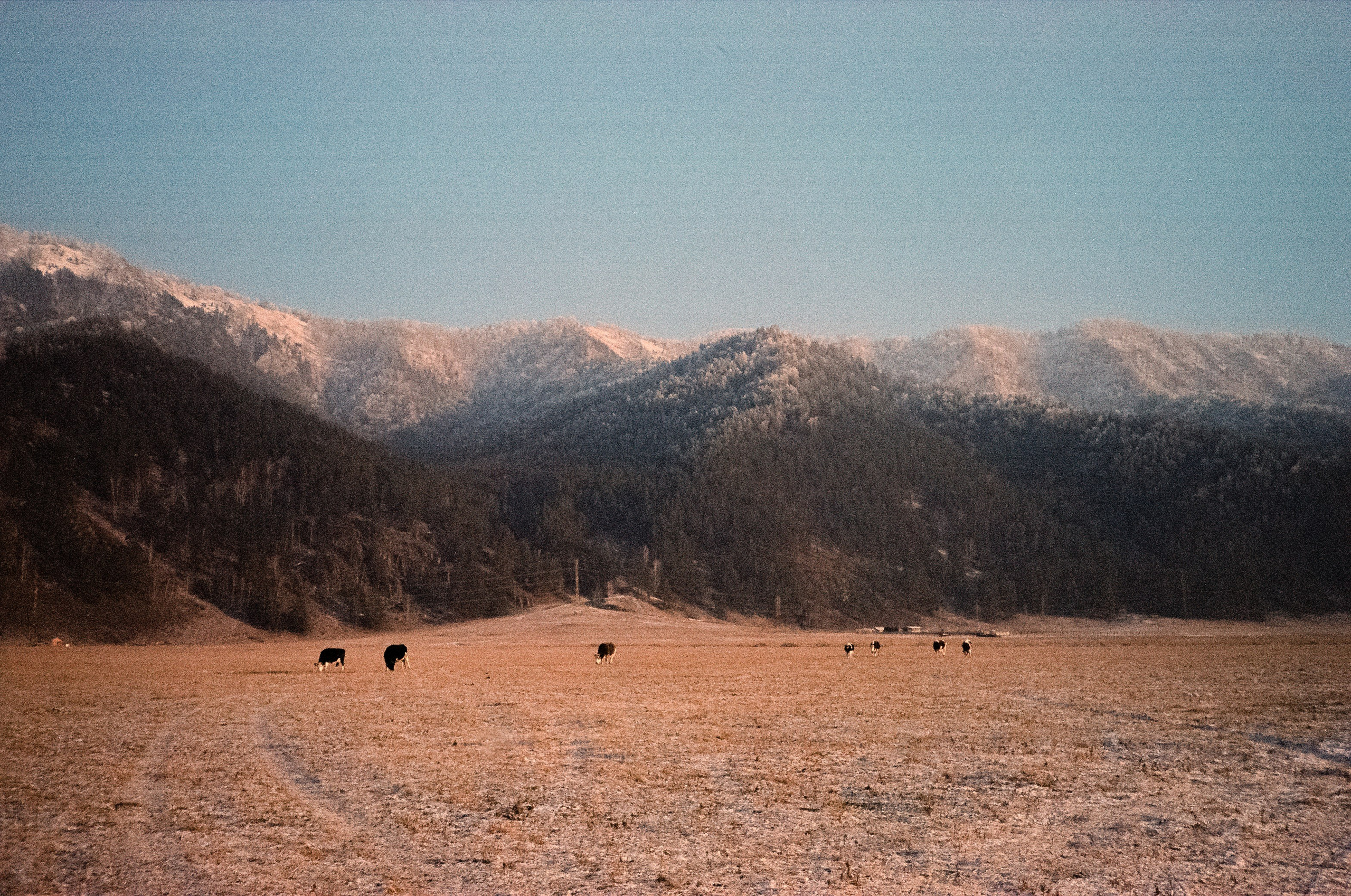 Путешествие на Алтай зимой: изумительные виды, снятые на фотопленку