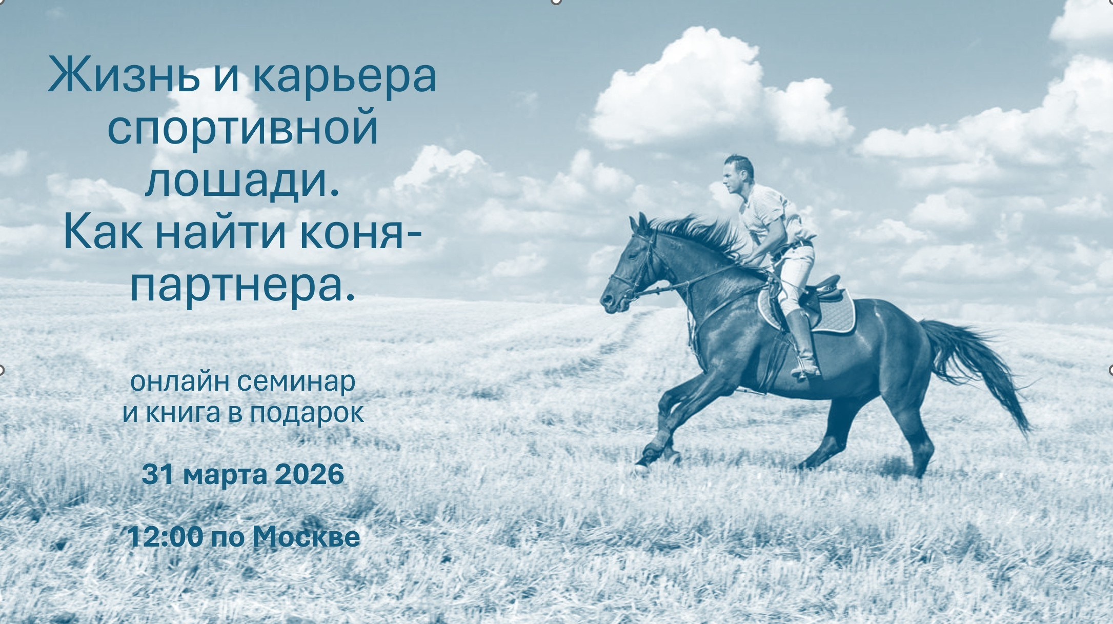 Календарь соревнований и семинаров. Лиана Антонович | Конные стратегии