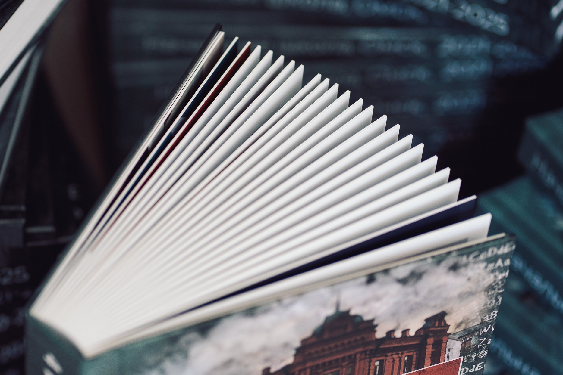 Фотокнига, книга рода, фотоальбом, подарок, фотокнига омск. Семейный и детский фотограф в Омск Пугачева Елена