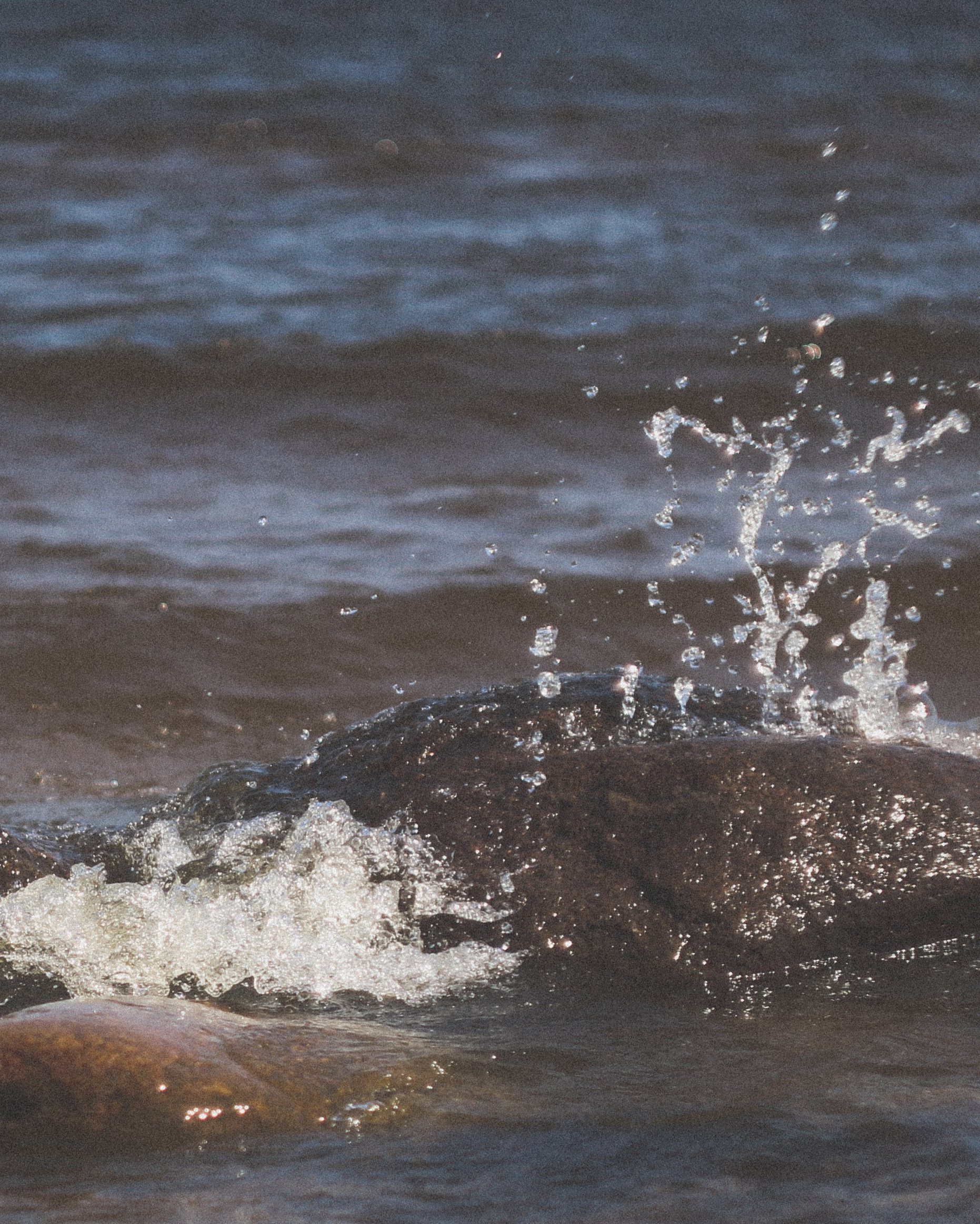Tags. Кирилл Агеев художник Санкт-Петербург
