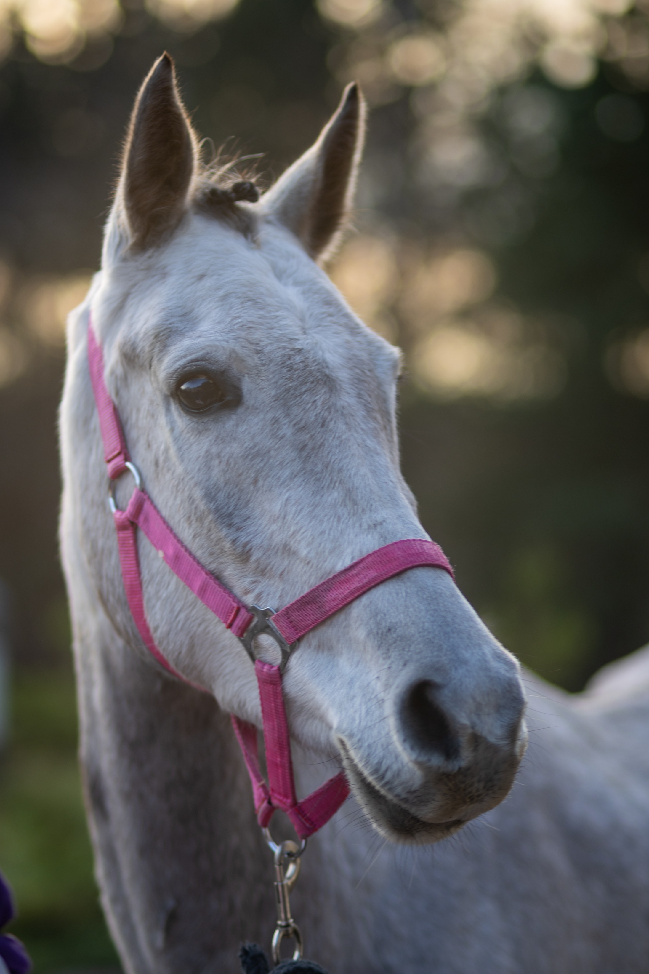 Услуги. Главная