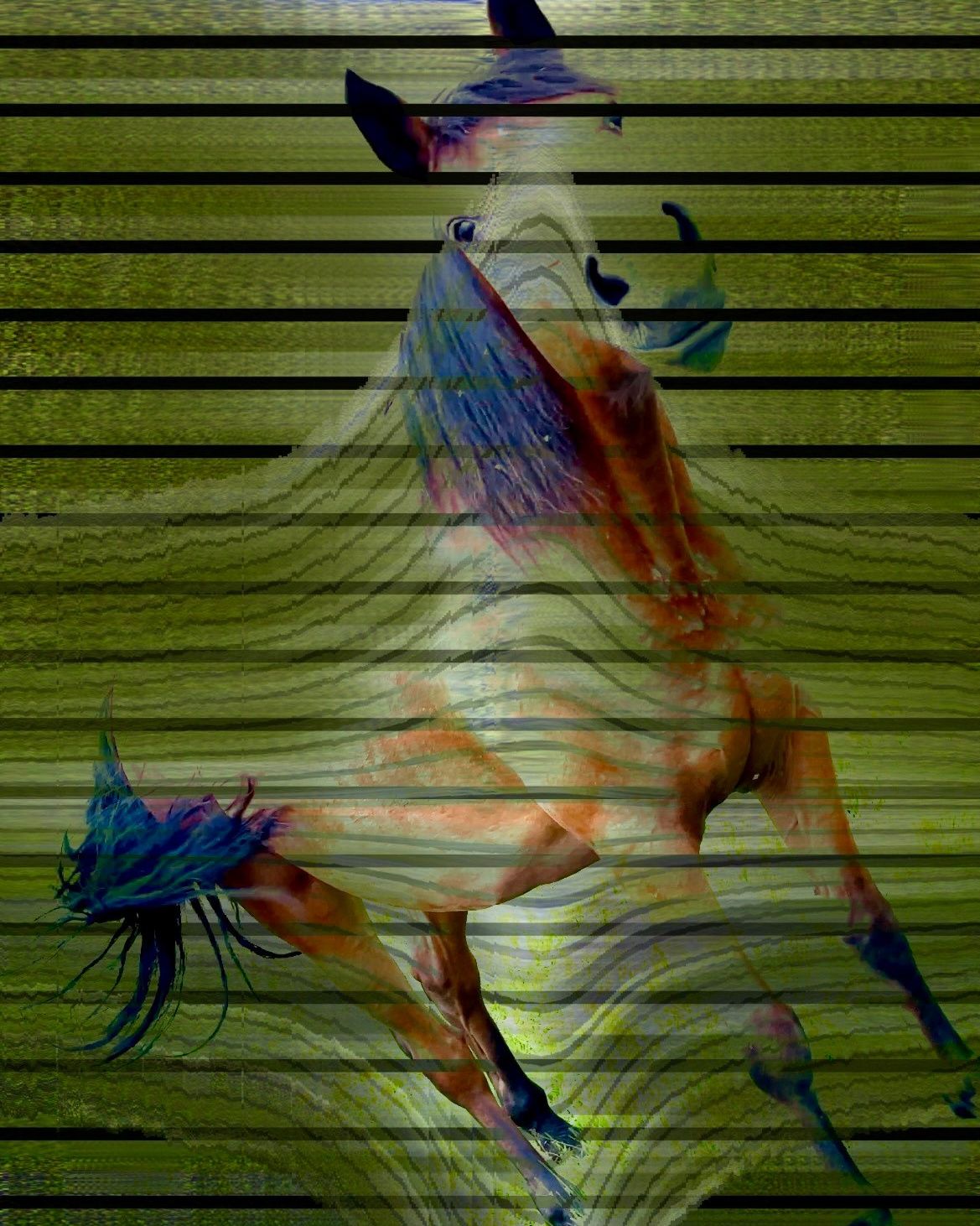 Akbuzat (1). MEMORY in NATURE | digital art gallery