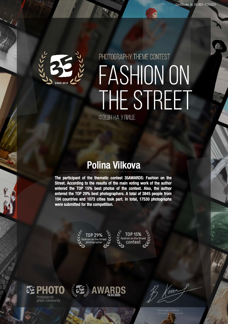 Awards & Publications. Polina Vilkova