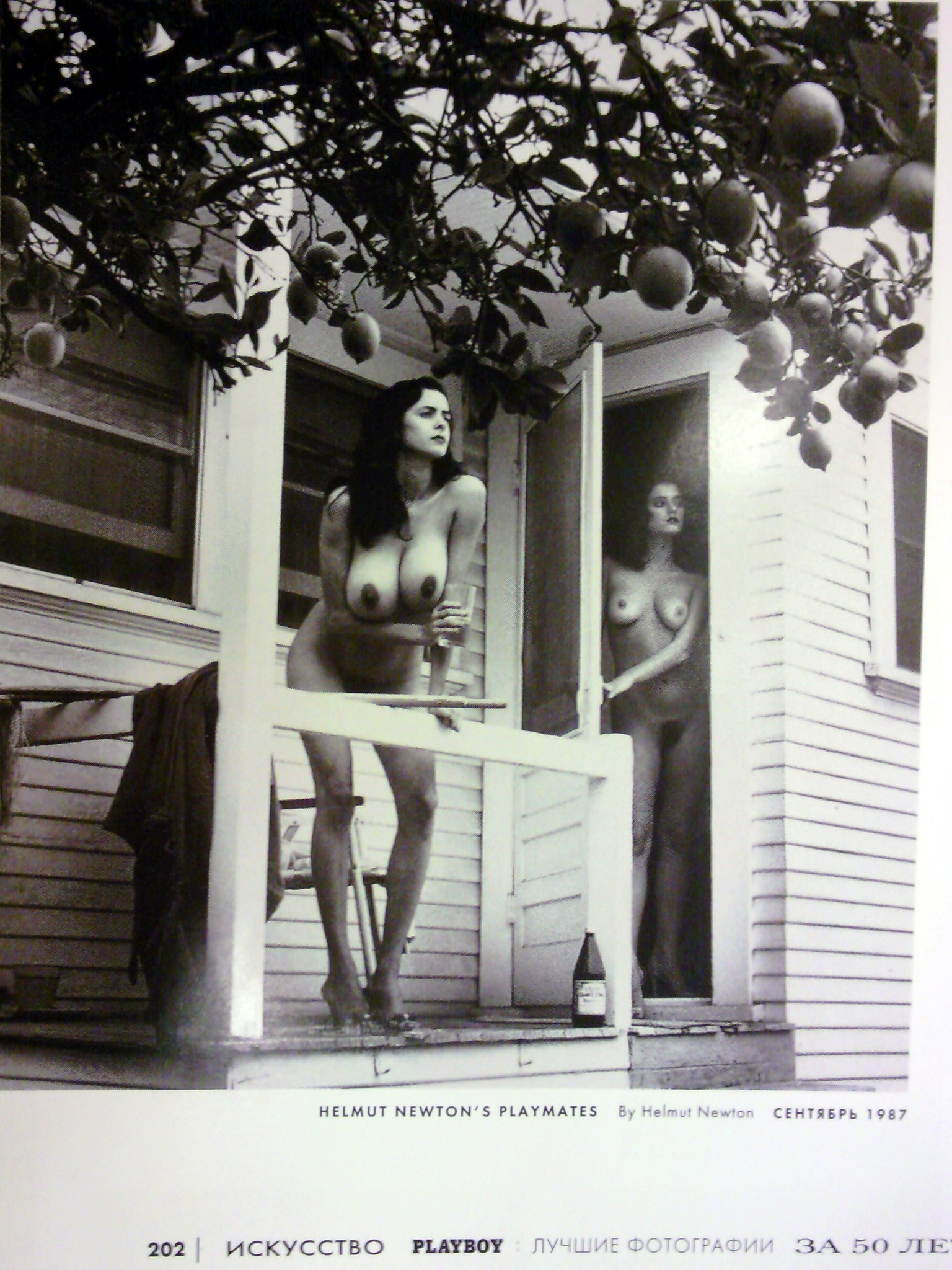 Helmut Newton. Выпускные альбомы, фотограф Денис Зимин в городе Ростове-на-Дону