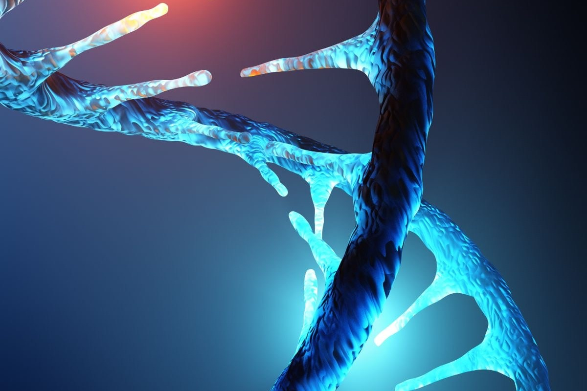 Обучение работе с кодом ДНК