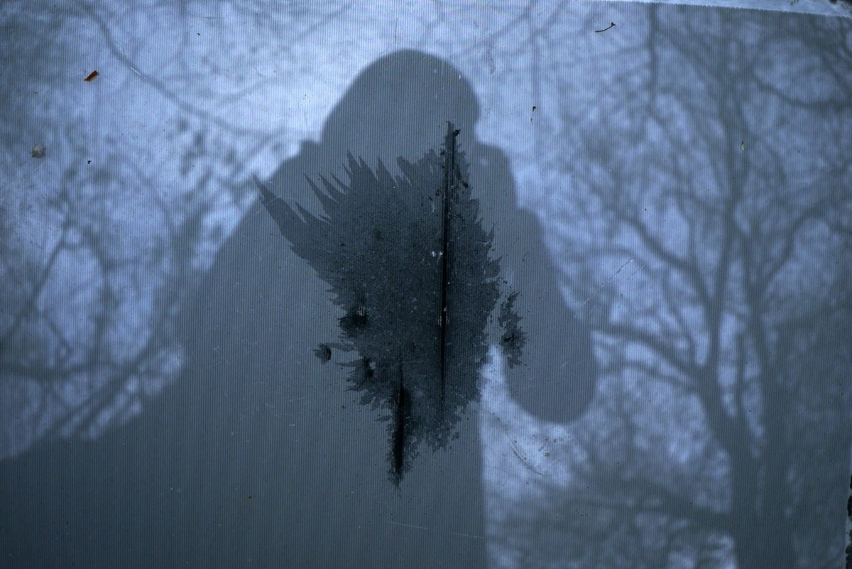 Дневник. Михаил Барановский