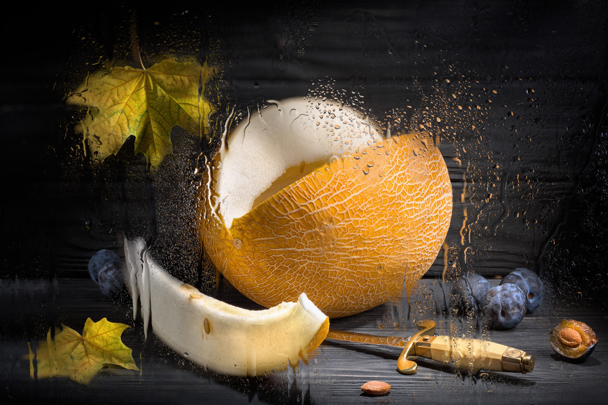 Фотооборудовании для предметной съёмки, светописи. Устремляясь ввысь… (фото от автора с ником Tom Fincher)