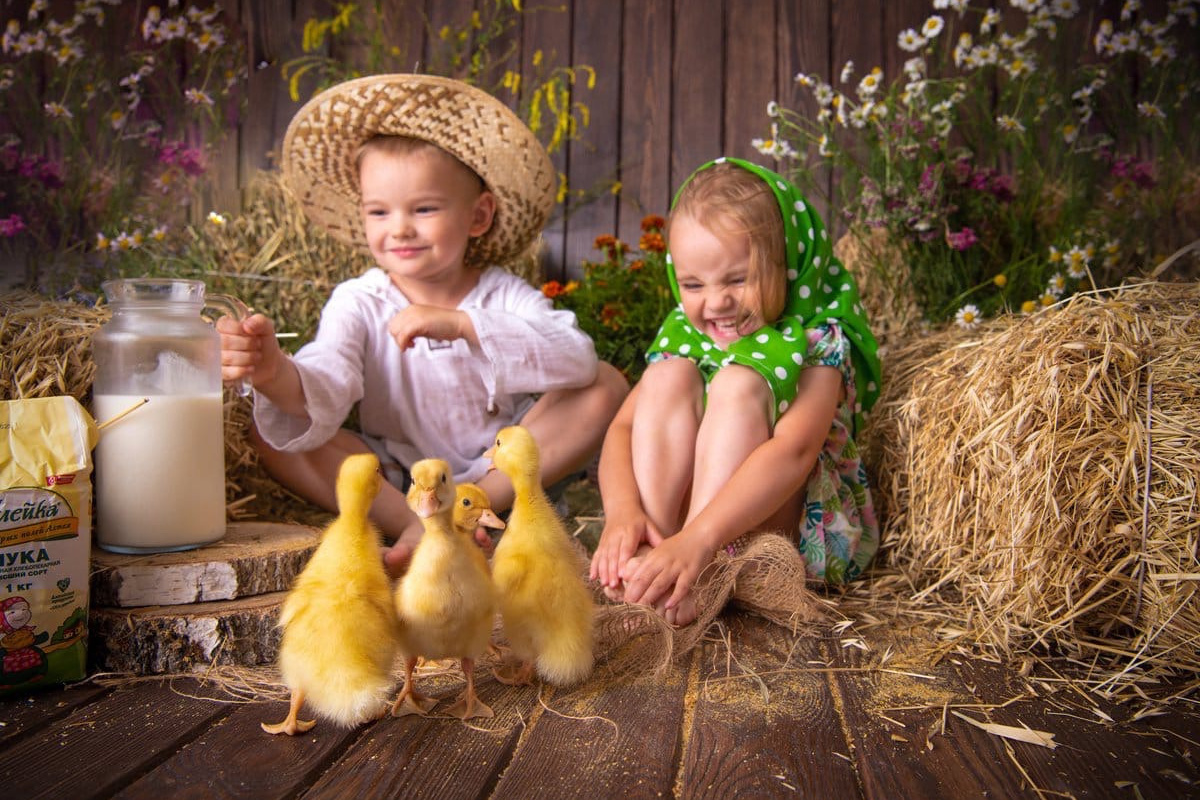 Фотодень ПАСХА с гусятами. Главная