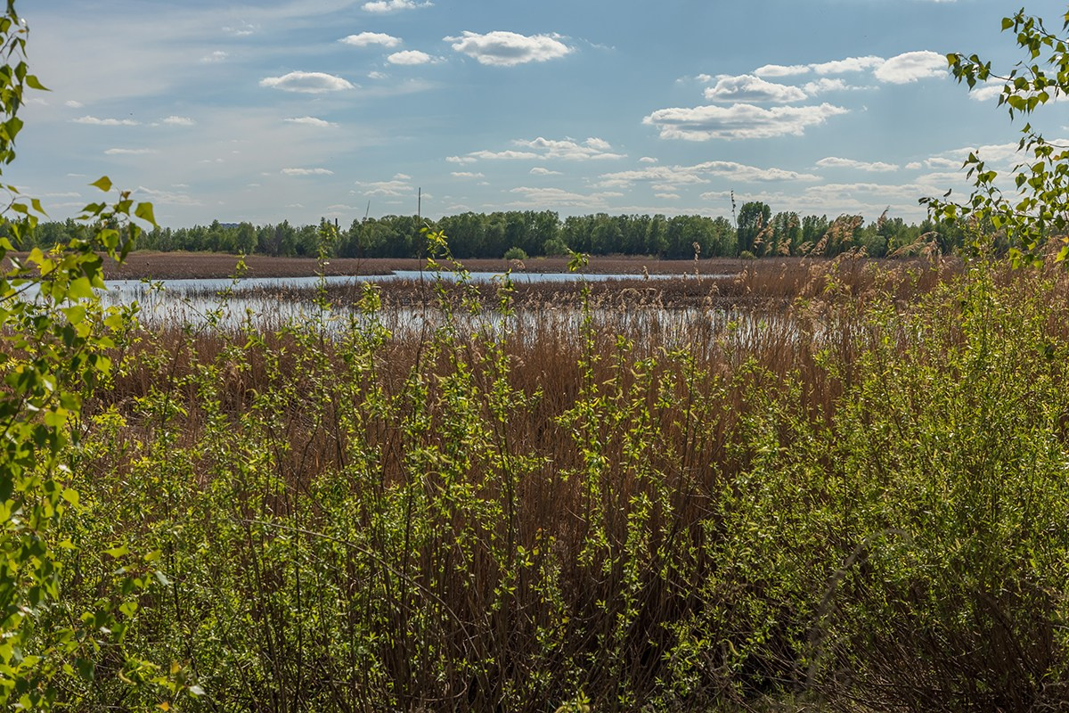 Велопрогулка Аврора — Южный город. Фотограф Самара, Санкт-Петербург Татьяна Гузева. Женские портреты. Контент