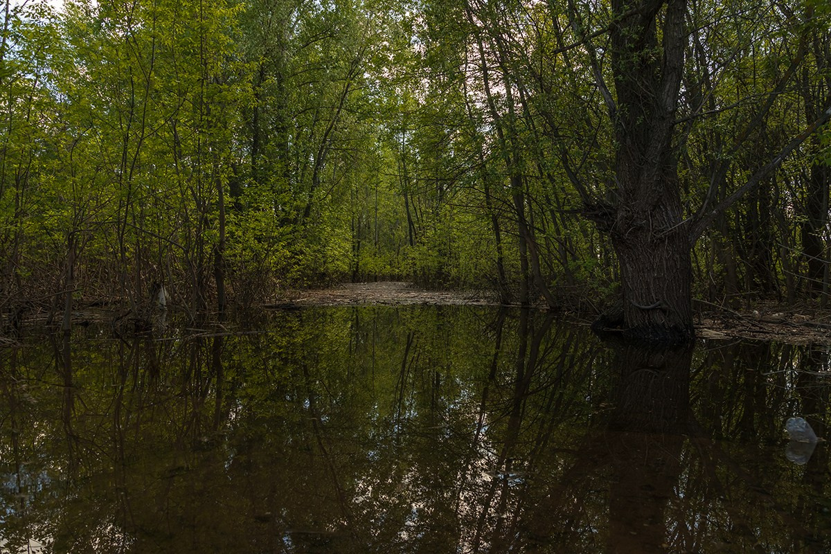 Велопрогулка Аврора — Южный город. Фотограф Самара, Санкт-Петербург Татьяна Гузева. Женские портреты. Контент