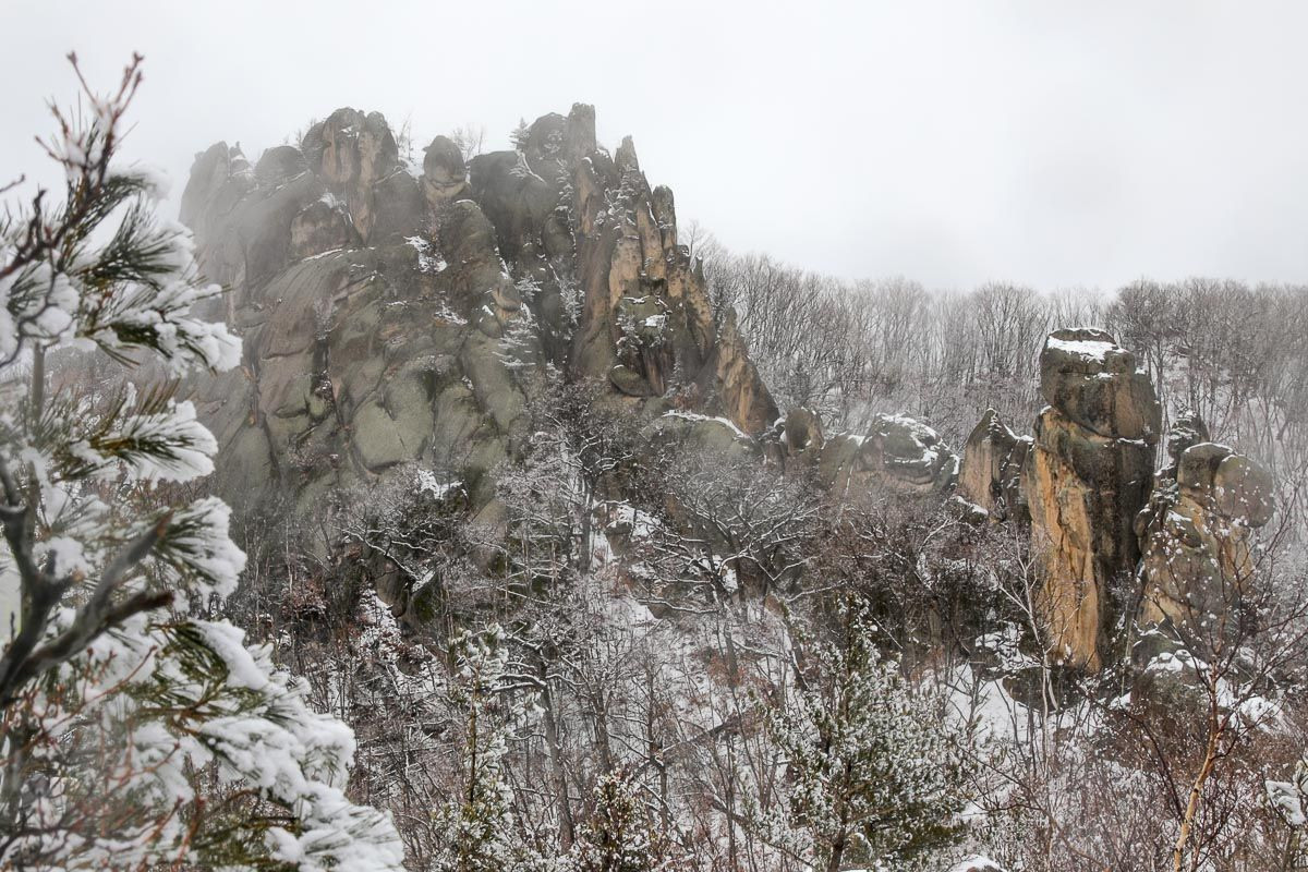 Публикации. Фотограф Антон Клейнос, Владивосток