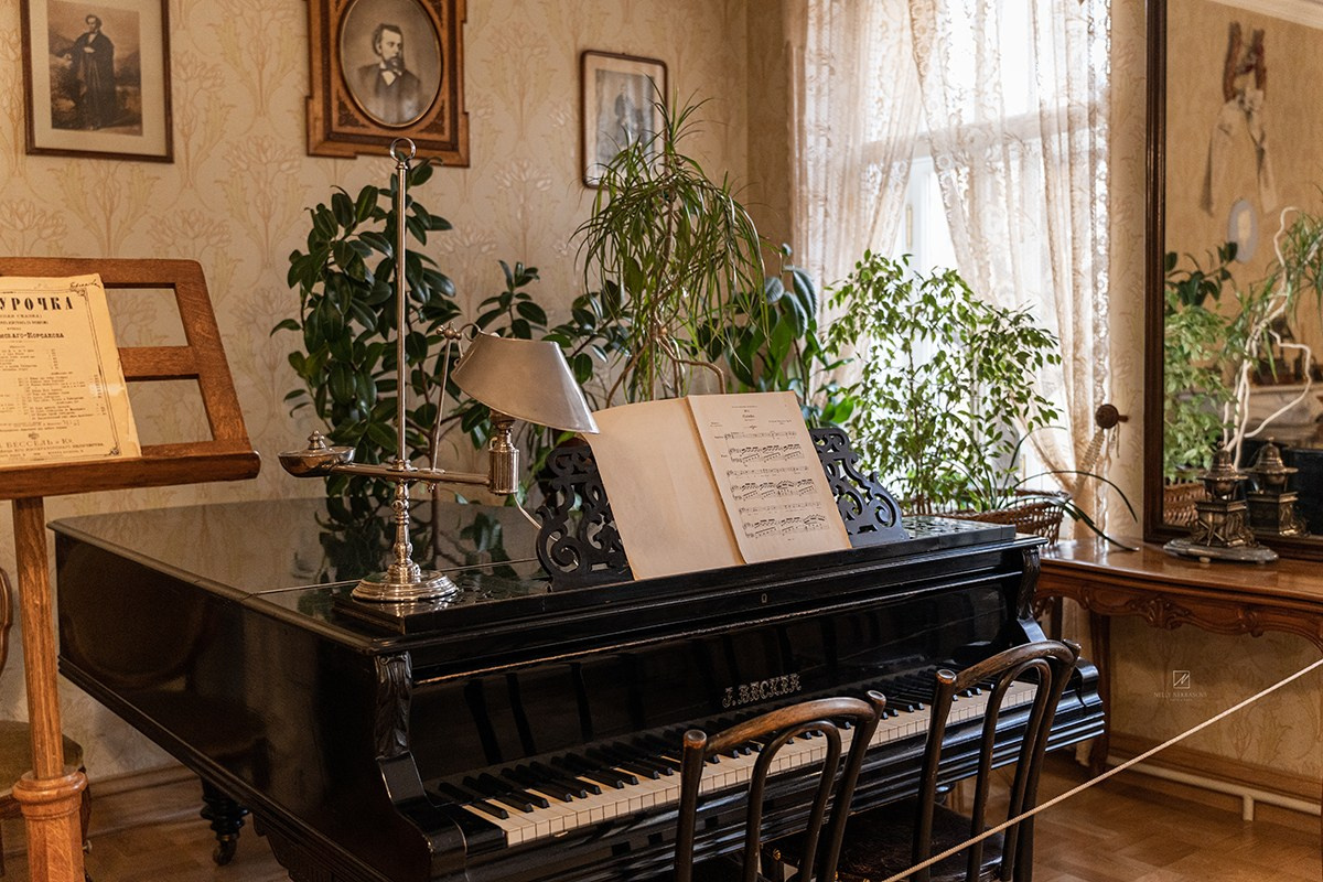 Дом, где живёт музыка: музей-квартира Римского-Корсакова. Фотограф и искусствовед в Туле и Санкт-Петербурге Нелли Некрасова