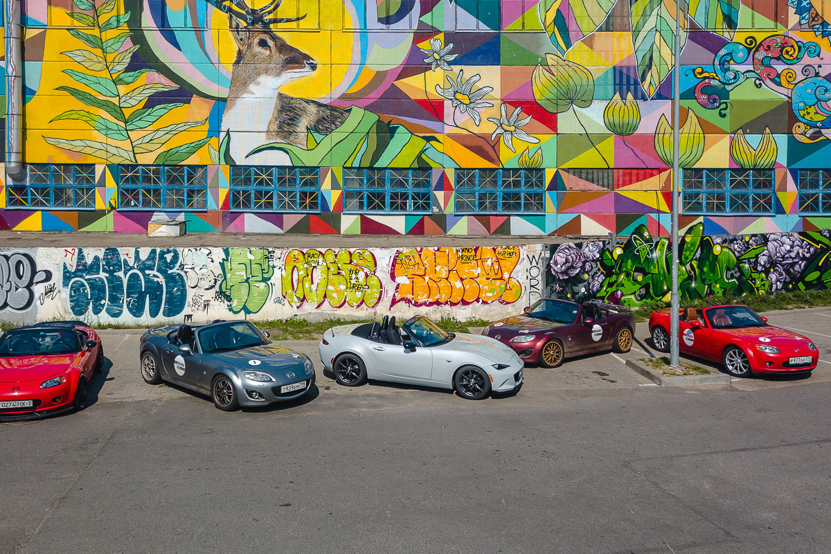 Путешествие в Румынию | Часть 4/4. Фотограф Дмитрий Питерский