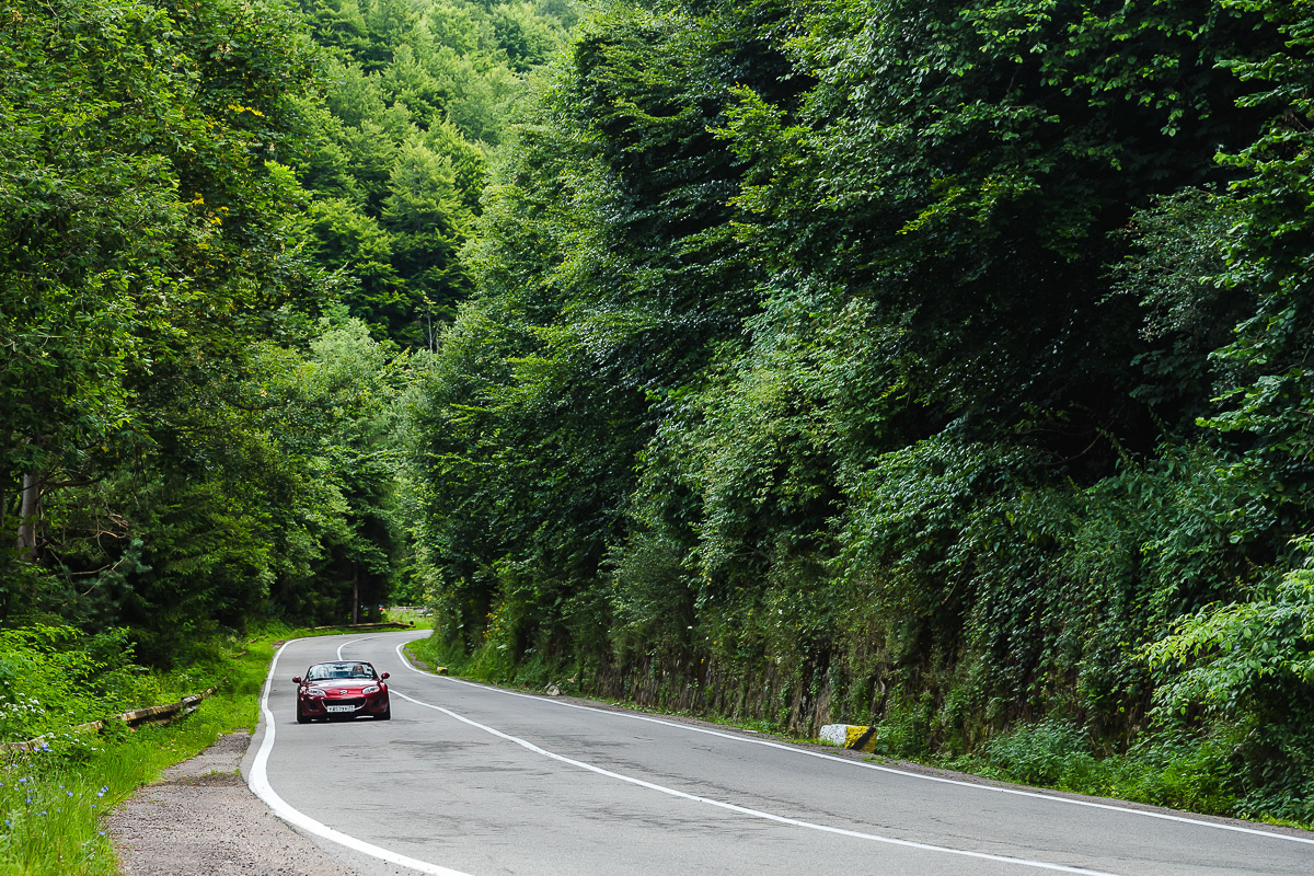 Путешествие в Румынию | Часть 2/4. Фотограф Дмитрий Питерский
