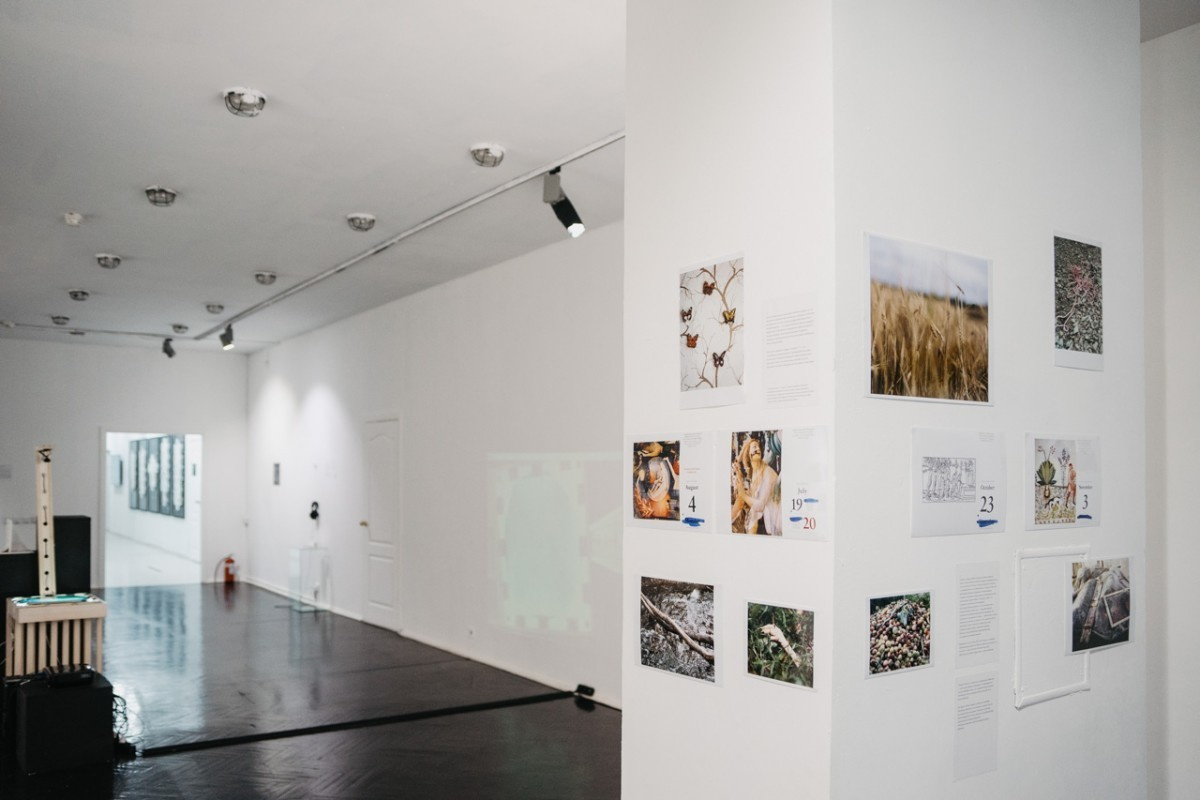Group exhibition at the ''Khodynka Gallery''. Ekaterina Vasilyeva photographer