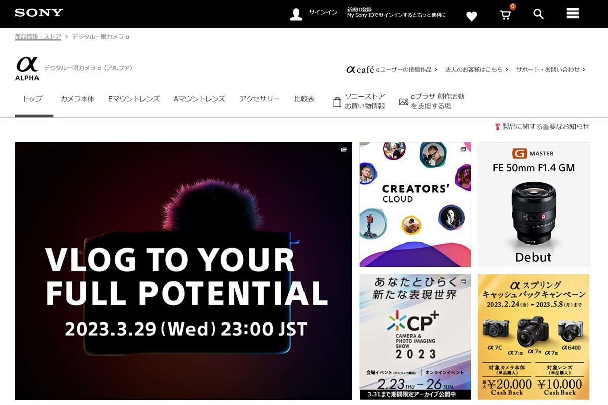 Полноразмерная камера с сенсором «VLOGCAM» от Sony?. Фотограф — видеограф в Москве Дмитрий Менделеев