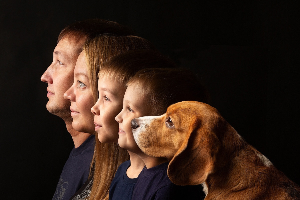 Услуги цены. Фотограф новорожденных Альбина Хухарева. Йошкар-Ола. Казань. Чебоксары
