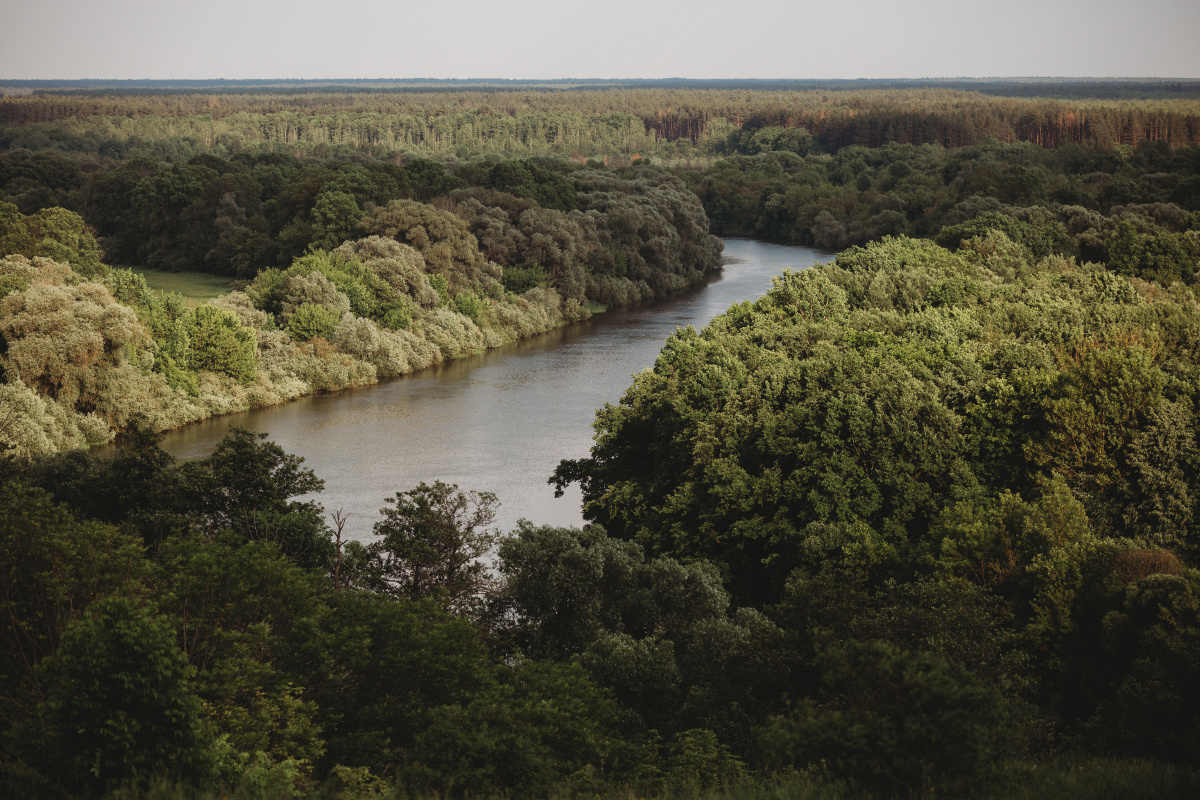 История Свенского монастыря. Фотоцентр Перспектива: выпускные альбомы, фотошкола, курсы фотографии