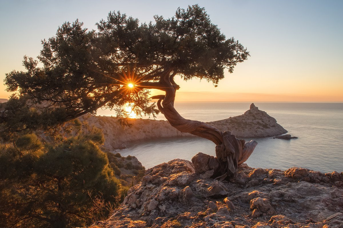 Локации для фотосессий в Крыму. Фотограф, фотосессии «Всё включено» в Москве и Московской области