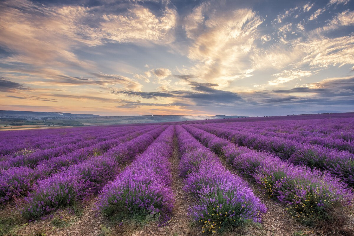 Локации для фотосессий в Крыму. Фотограф, фотосессии «Всё включено» в Москве и Московской области