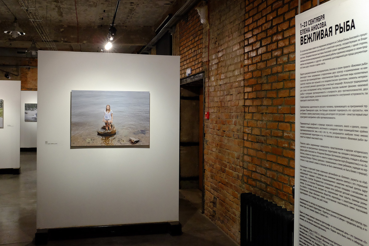 ◽ Вежливая рыба. Елена Аносова — художница и исследовательница, куратор и лектор