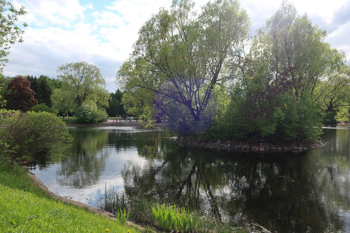 Фотопрогулка по Главному ботаническому саду им. Цицина в Москве. Проект «Фотокладовка»: блог уличной фотографии в формате street photo