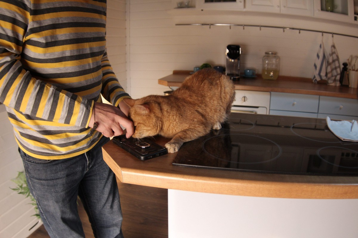 RED SOLUTION. Фото и видеосъёмка клипов и контента для компаний и личных брендов