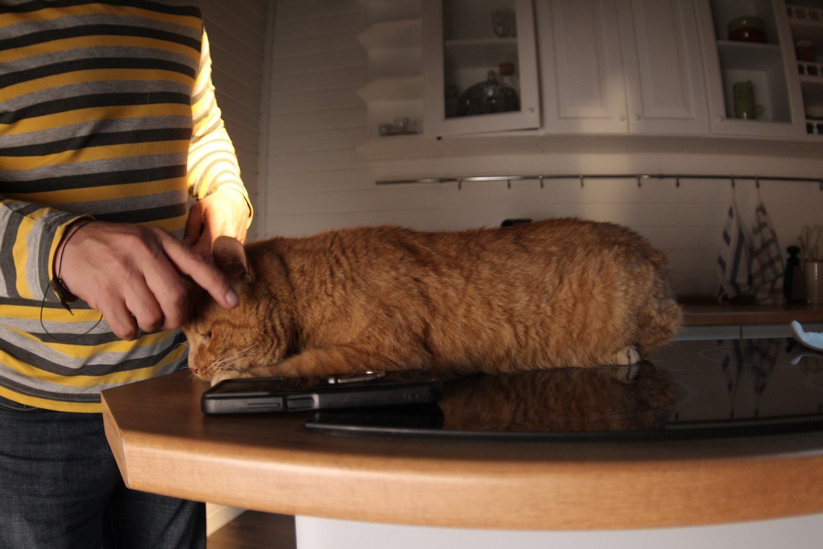 RED SOLUTION. Фото и видеосъёмка клипов и контента для компаний и личных брендов