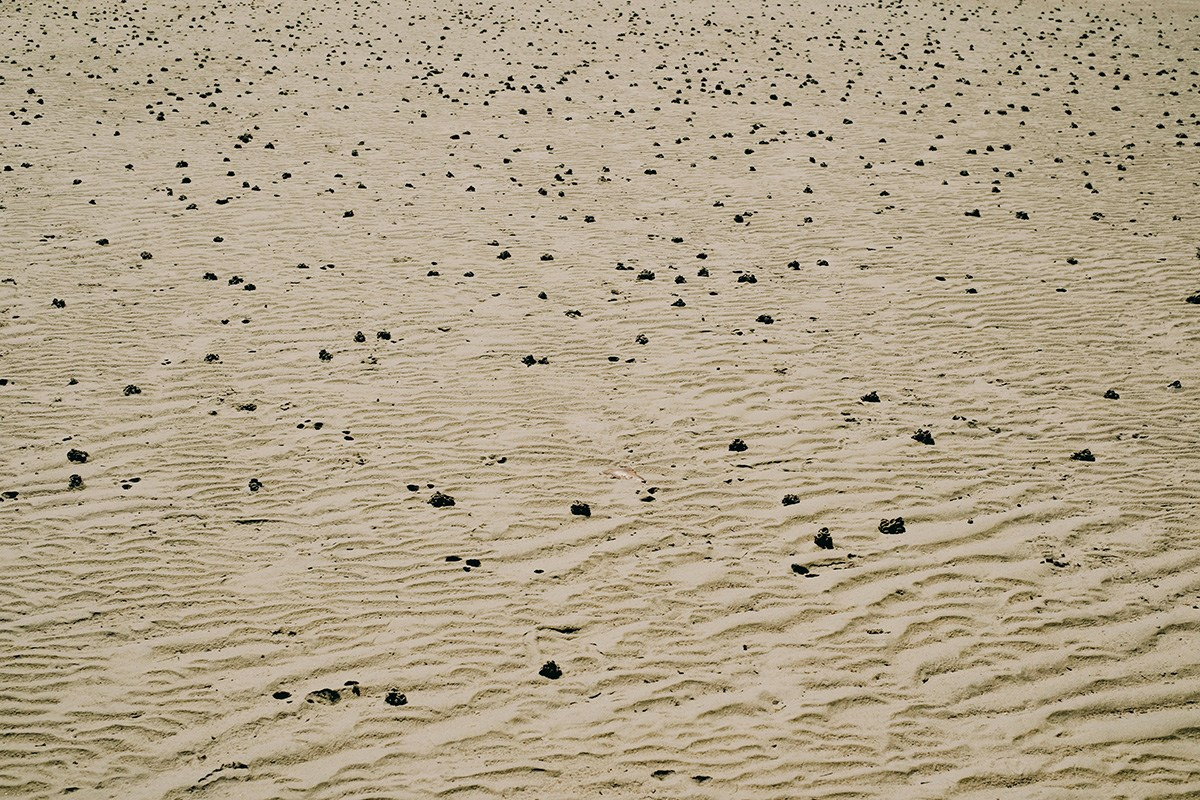 Принты. Art photographer Victoria Fatina, visual art of Asia and Russia <3