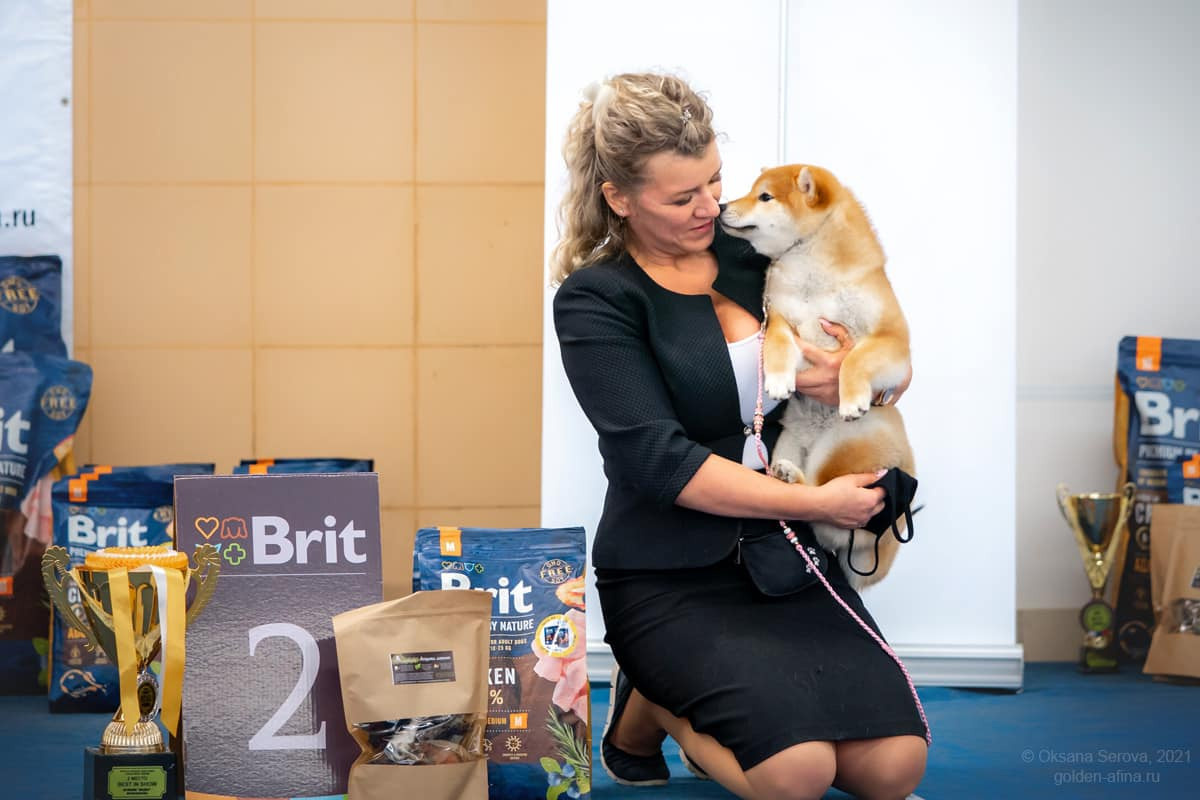 2021. SHIOMARU Shiba and Akita Inu Kennel