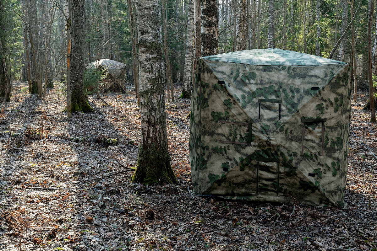 фототуры, фототур, экспедиция, животные, приключение, путешествие, поездка, глухарь, туры выходного дня, туры по России, фототуры по России, дикая природа