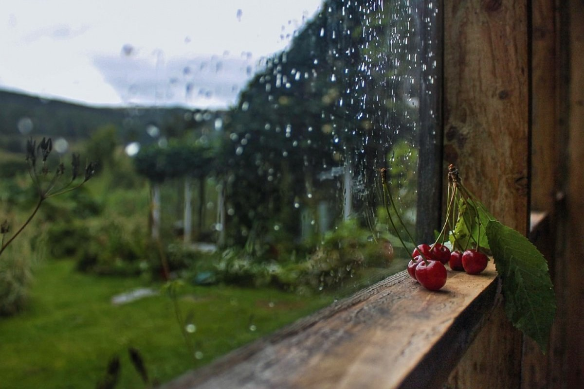 Чем заняться в дождливую погоду?. Оздоровительный комплекс Шалово-парк Серебряные ключи