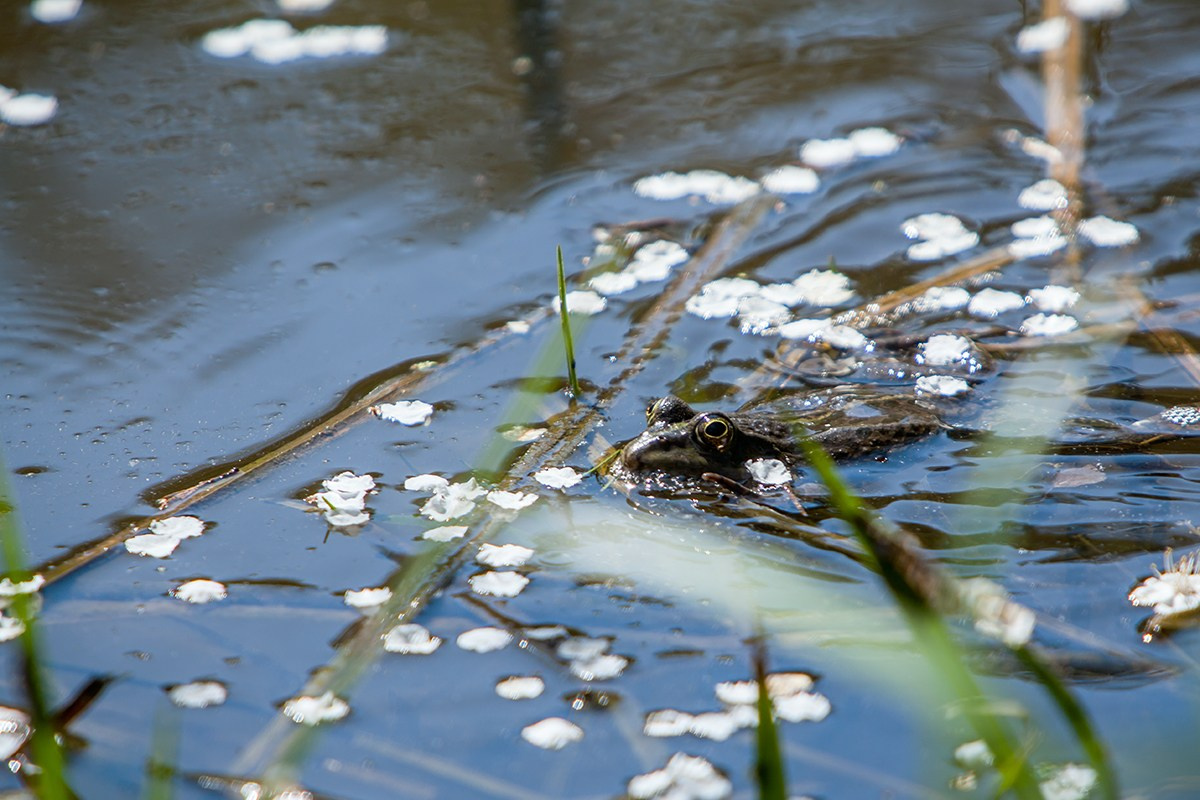 Весенний Фотопроект. OLGA OLEYNIKOVA Пространство, люди, смыслы
