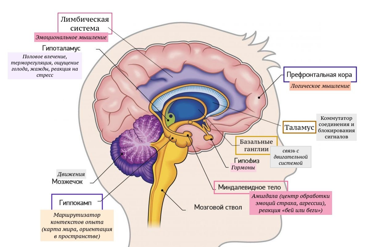 Самопроизвольные мысли и творческое предвидение в изменённом состоянии сознания. Гид и фотограф в Валенсии Новиков Михаил