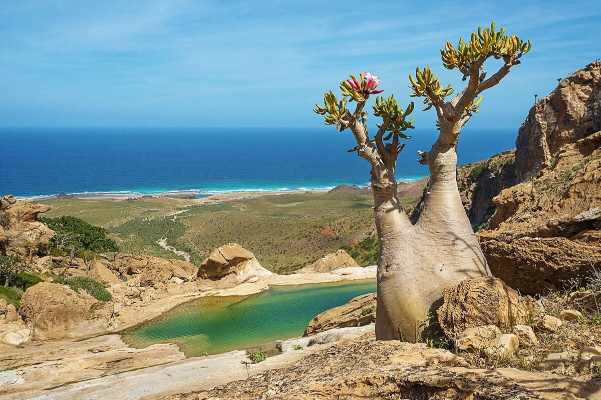 Сокотра!. Путешествуем вместе