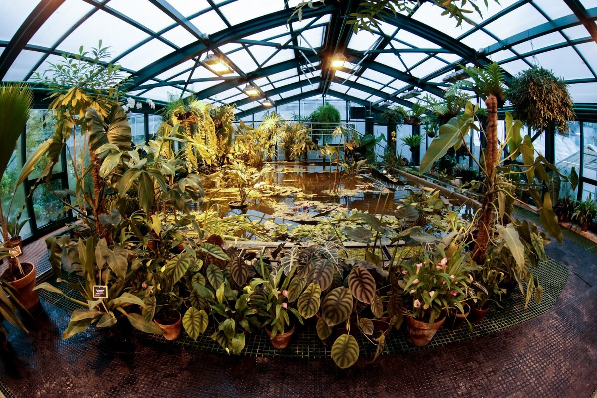 Где фотографироваться если идет дождь. Фото Радости. Свадебный и семейный фотограф в Москве Юлия Самойлова