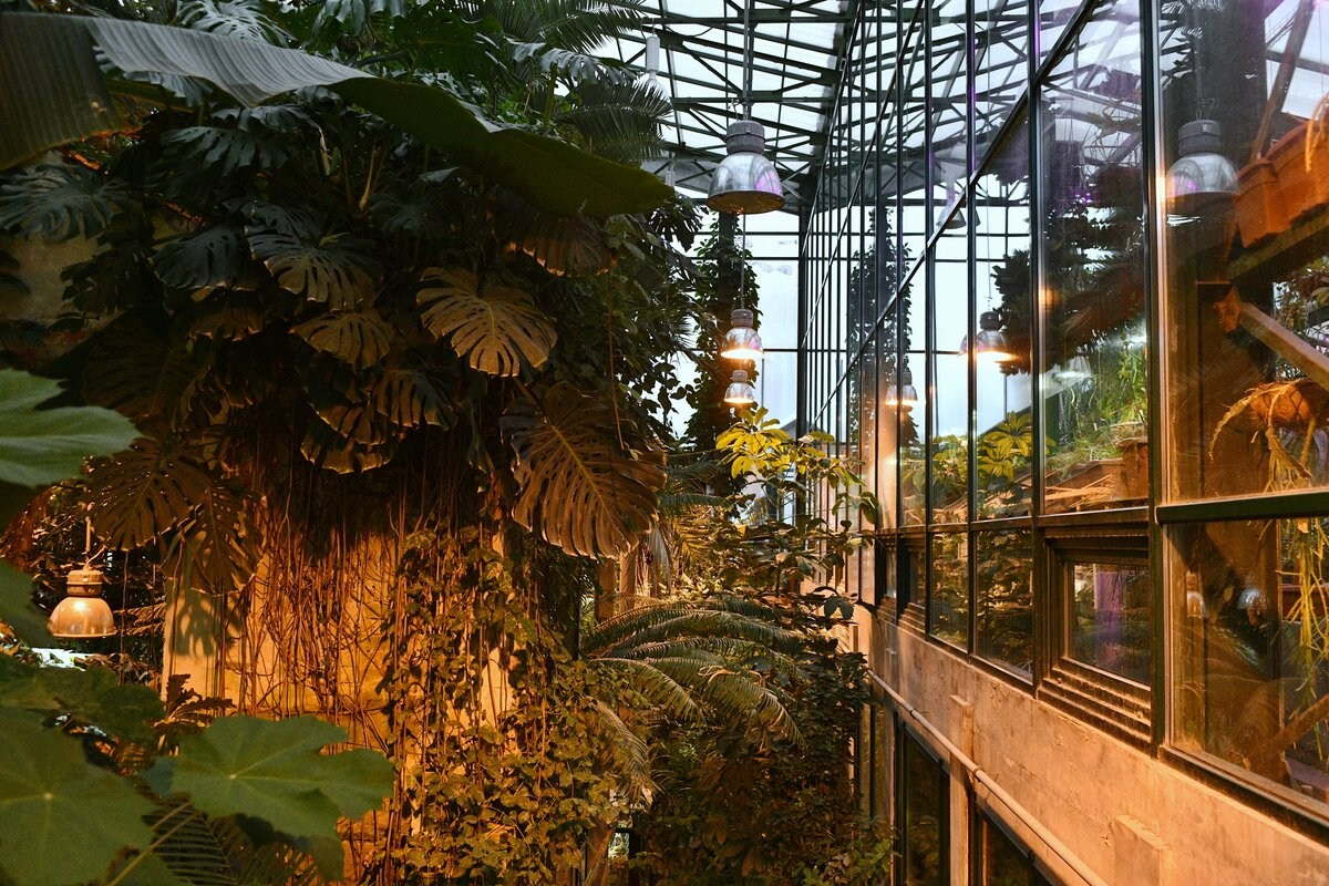 Необычные улицы и дворики Москвы. Фото Радости. Свадебный и семейный фотограф в Москве Юлия Самойлова