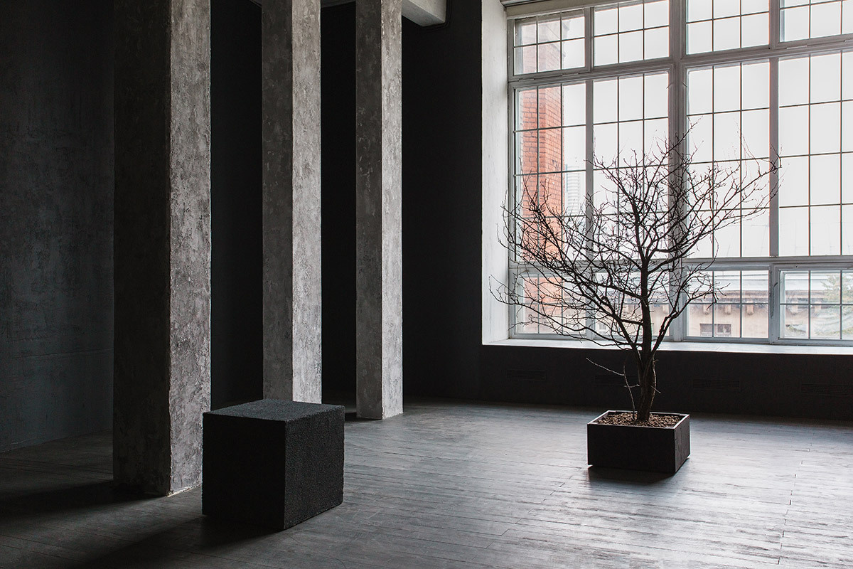 Фотостудии в Москве. Ангелина Богданова, междисциплинарная художница