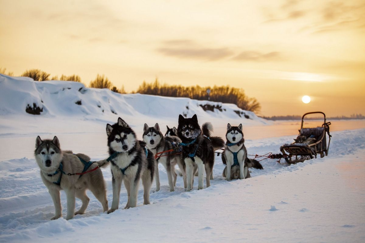 ПРАЙС НА ФОТОРЕПОРТАЖ ТУРЫ ВЫХОДНОГО ДНЯ