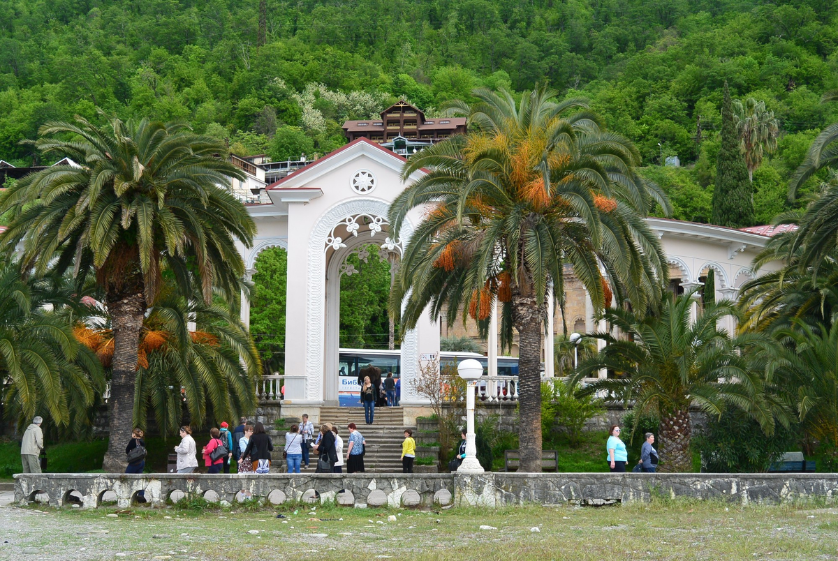 Весенний тур в Гагры «Леди-Миледи». Фотограф Таня Тощевикова