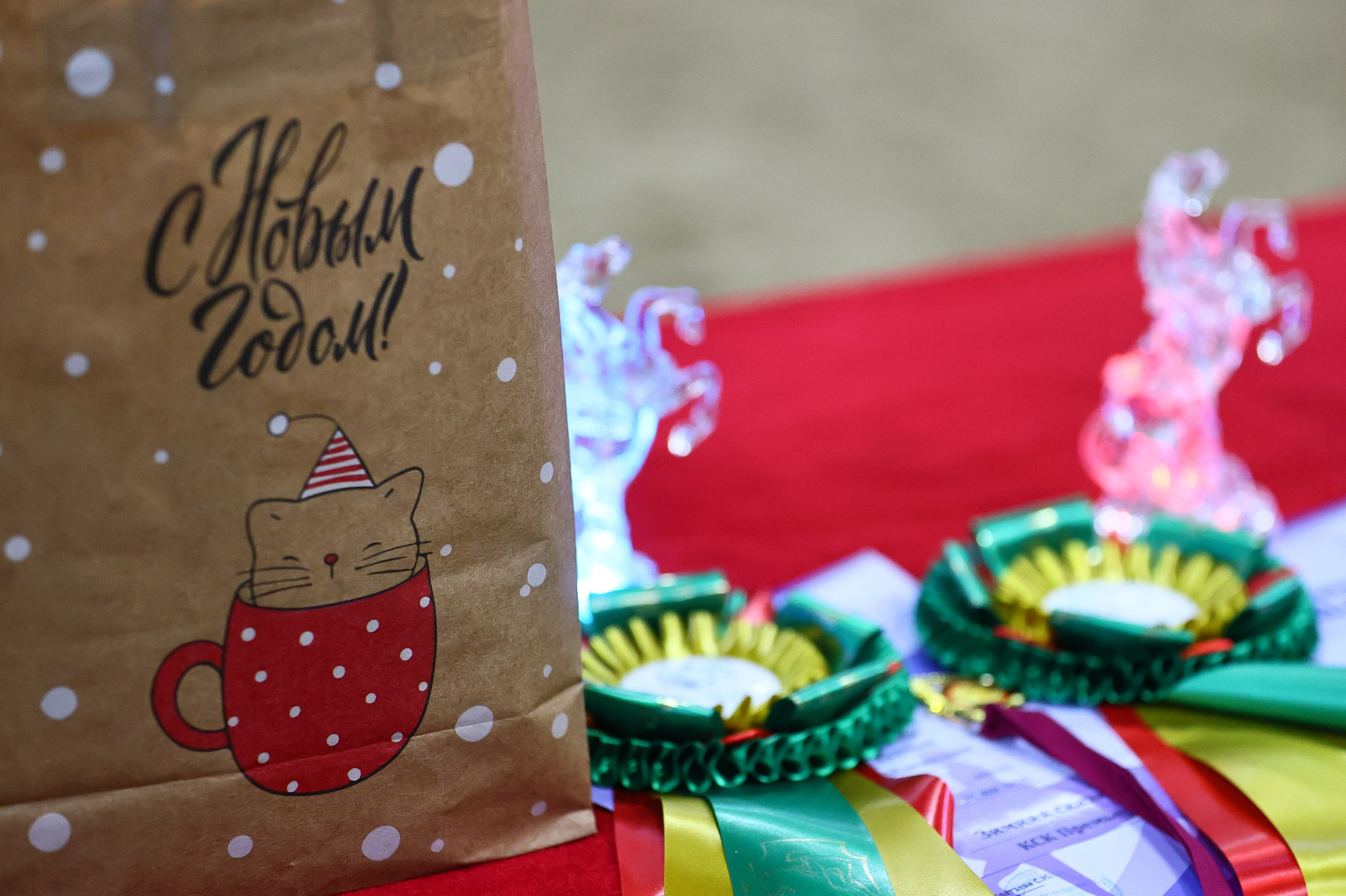 Купить фотографии с турниров. KatymartArt — Equine photography