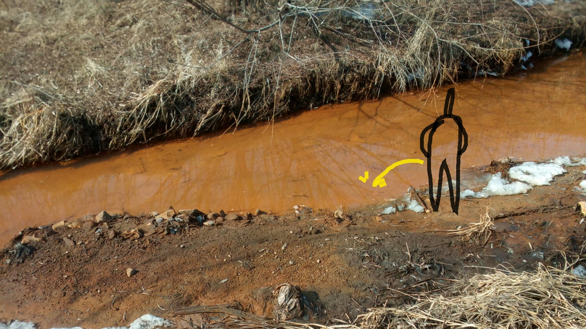 Дорисованнаяреальность. Художник Рыбак Николай