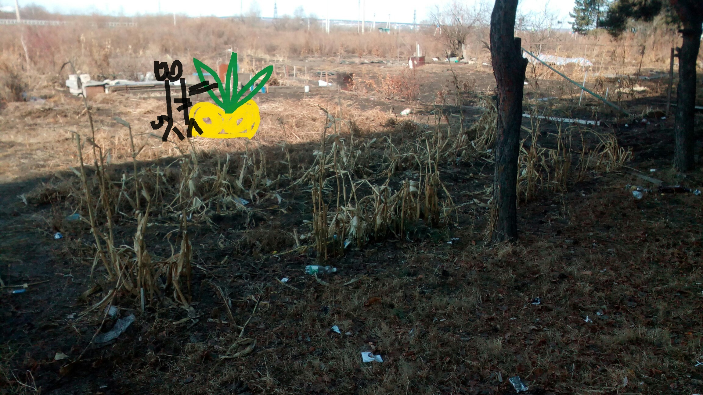 Дорисованнаяреальность. Художник Рыбак Николай